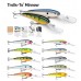 Воблер RAPALA Trolls-To Minnow TTM20-FT