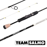 Спиннинг Team SALMO Tioga 1,98/L