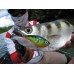 Воблер RAPALA Clackin' Crank CNC610-GCW