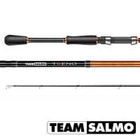 Спиннинг Team SALMO Treno 2,31/L